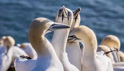 开云网页版登录入口-阿森纳遭遇失利！客场落于弱旅之前，阿森纳终于赢了