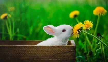 开云网页版登录入口-阿森纳遭遇失利！客场落于弱旅之前，阿森纳终于赢了